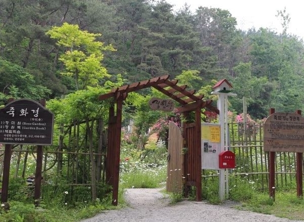 죽화경