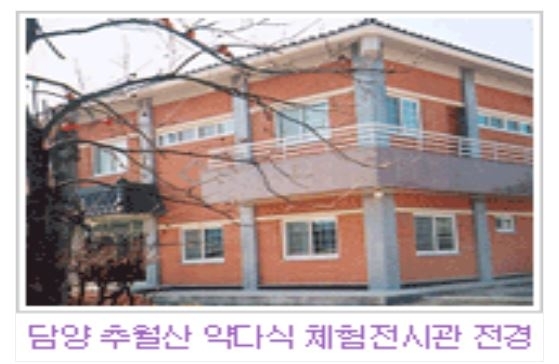 추월산 약다식