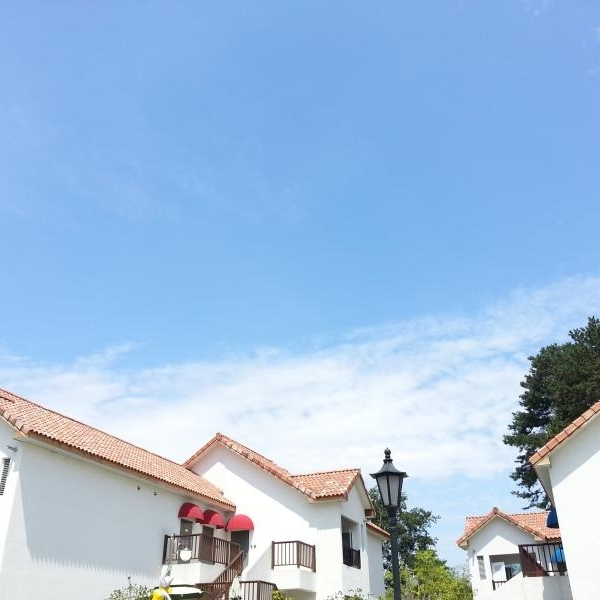 지붕과 하늘